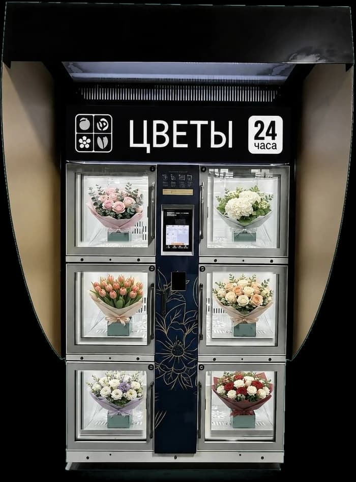 Модель C2 City автомата Цветарий